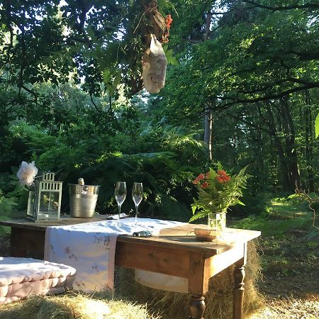 Domaine Du Vertbois La Haye-du-Theil ภายนอก รูปภาพ
