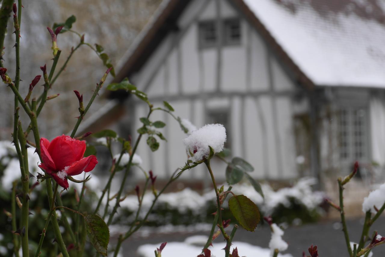 Domaine Du Vertbois La Haye-du-Theil ภายนอก รูปภาพ
