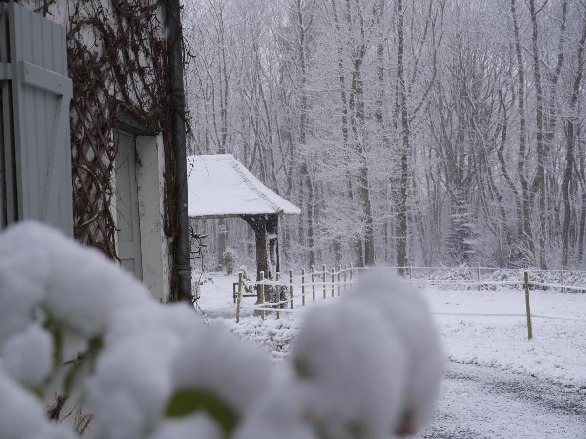 Domaine Du Vertbois La Haye-du-Theil ภายนอก รูปภาพ