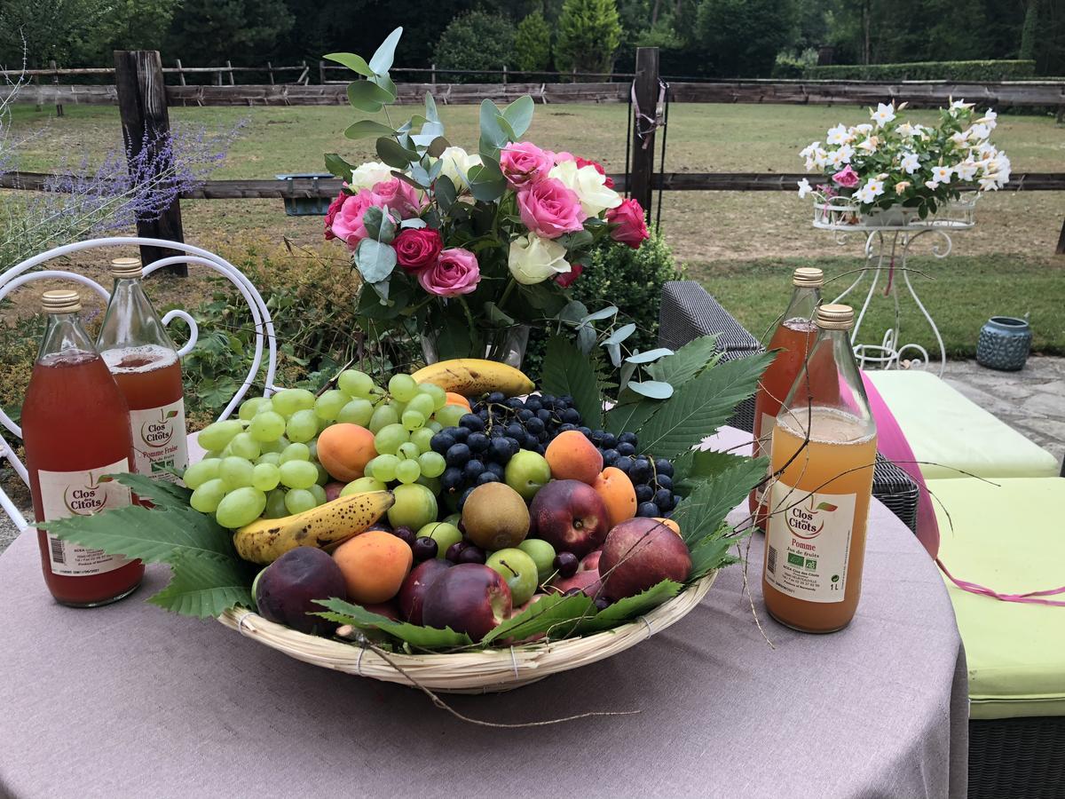 Domaine Du Vertbois La Haye-du-Theil ภายนอก รูปภาพ