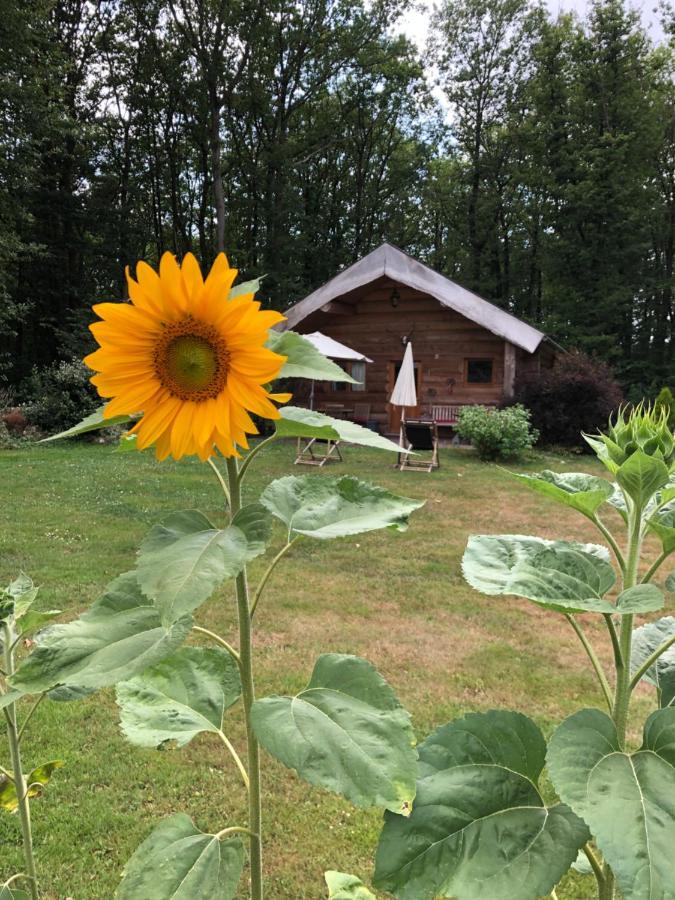 Domaine Du Vertbois La Haye-du-Theil ภายนอก รูปภาพ
